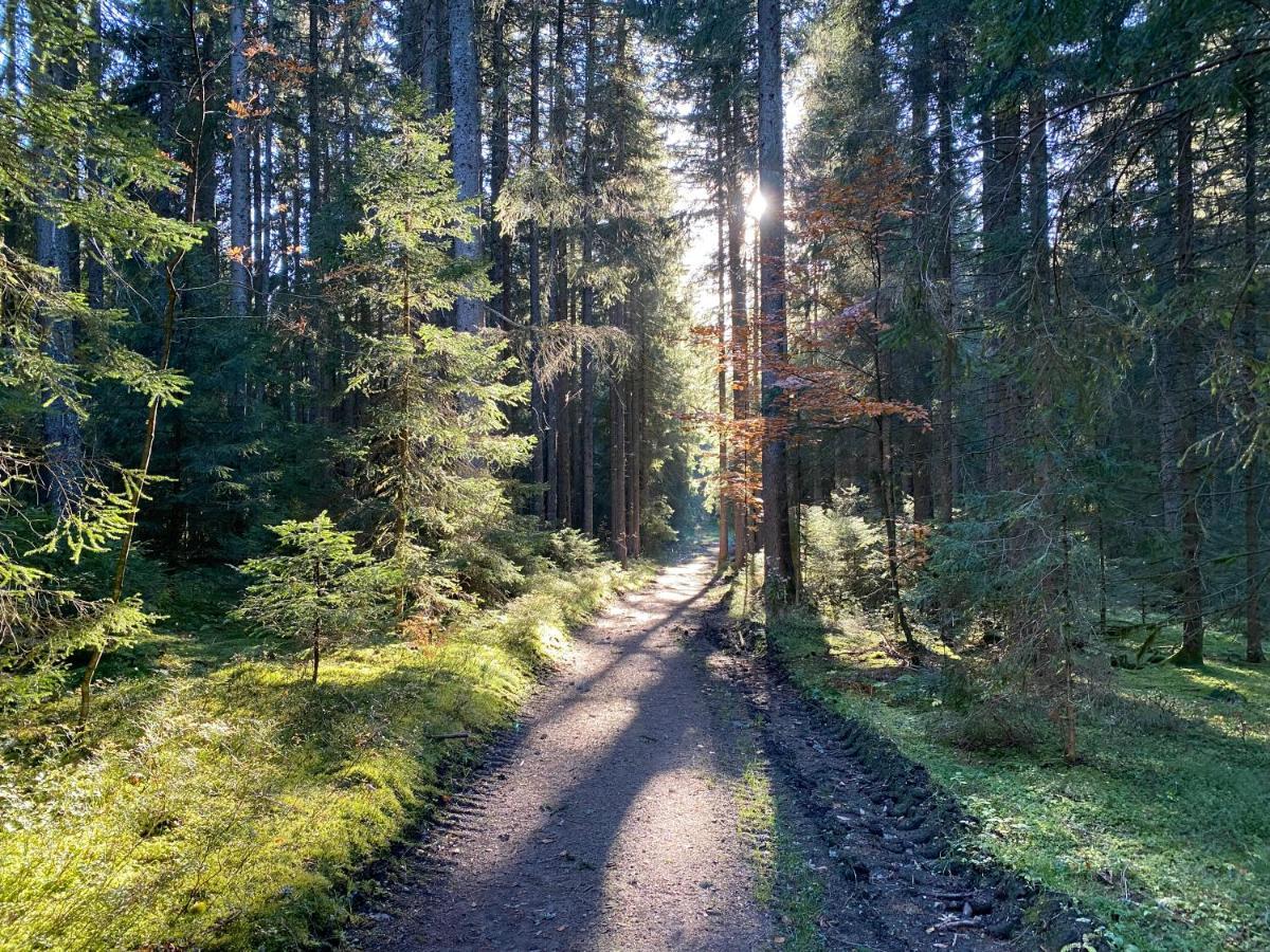 Ferienwohnung Waldblick Wilhelmsdorf Buitenkant foto
